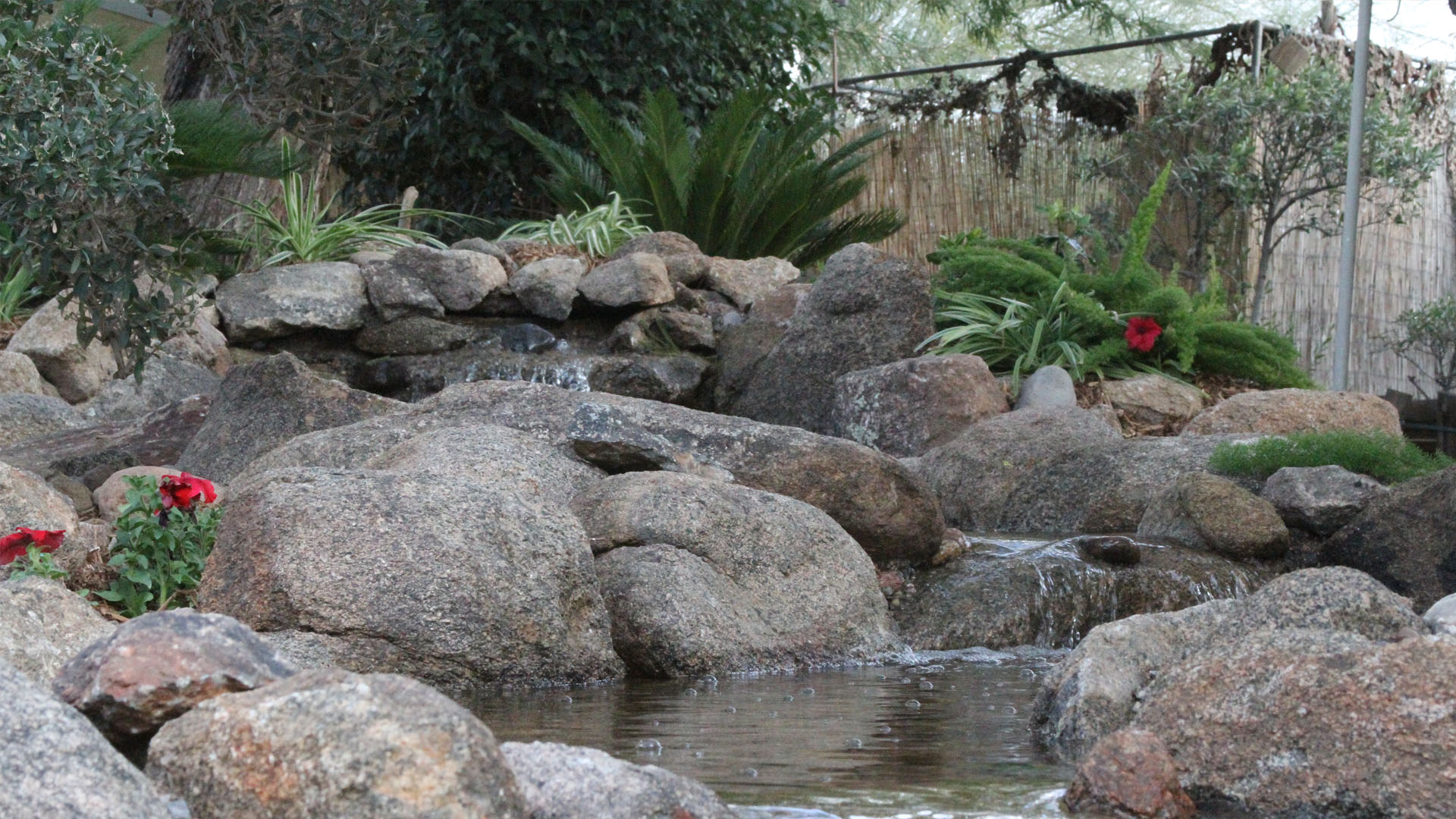 Sun City Grand Fertilization