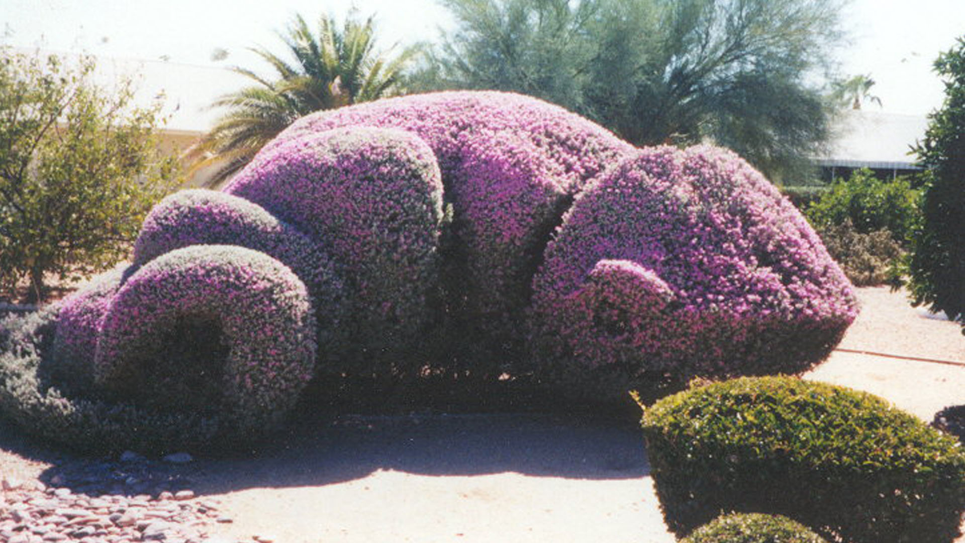 Sun City Grand Hardscaping